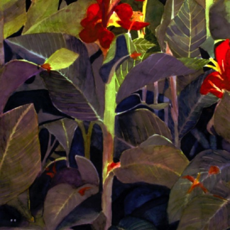 Cat in the Cannas
44x30.5